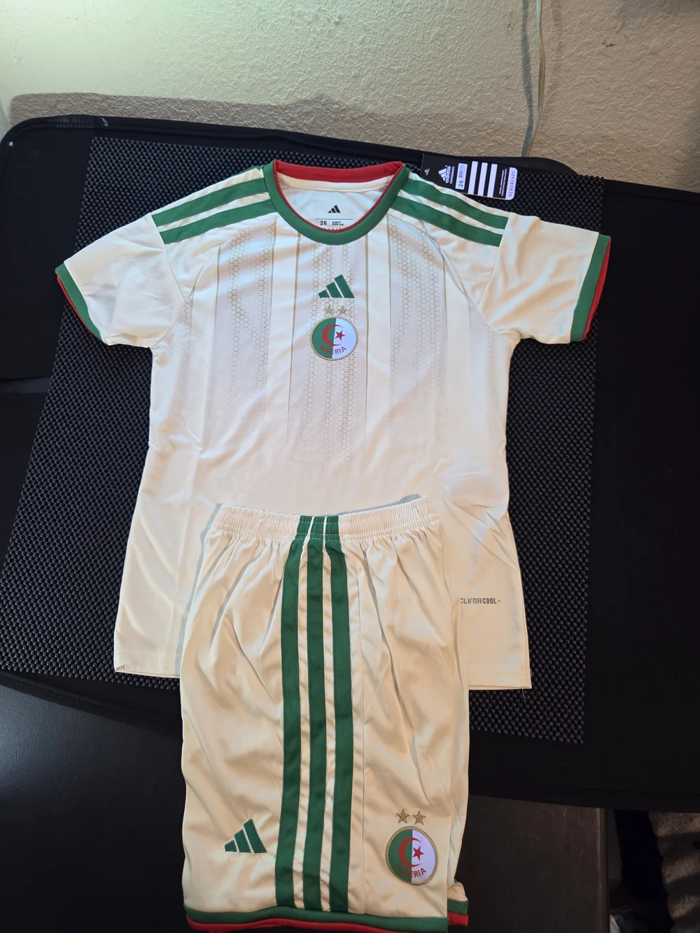 Kids' Algeria White & Green Soccer Jersey and Shorts Set